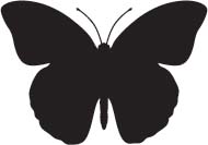 Vlinder