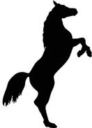 Paard