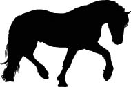 Paard