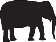 Olifant