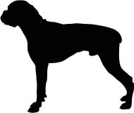 Hond