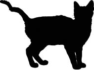 Poes