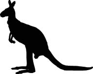 Kangaroe