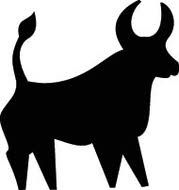 Stier