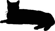 Poes