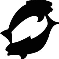 Vissen