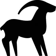 Steenbok