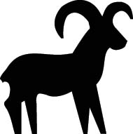 Ram
