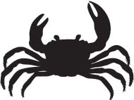 Krab