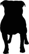 Hond