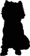 Hond