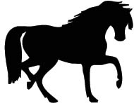 Paard