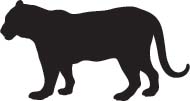 Panter